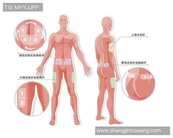 DOTA2赛事深度解析JDGaming的游戏节奏与战略布局