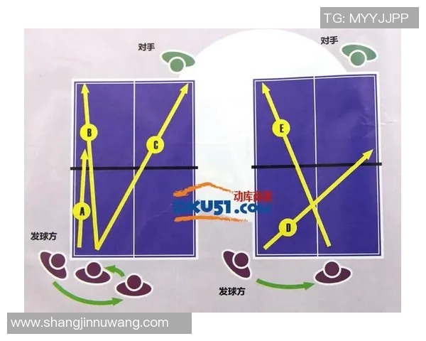 从零基础到乒乓球高手的全面意识培养与技巧提升指南