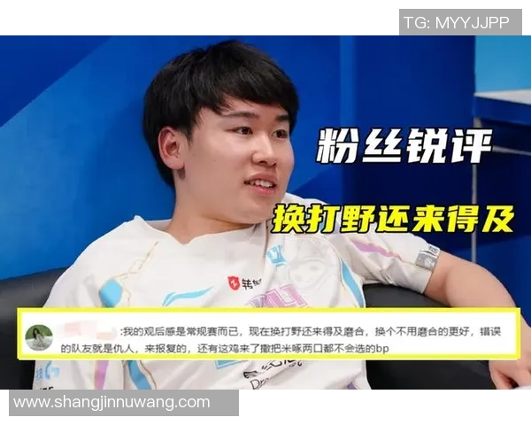 数据分析BLG战队在赛季中的实力表现与战术解析