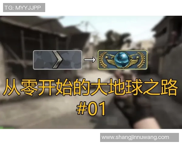 深度探讨刘强在CSGO世界中的成长与挑战之路