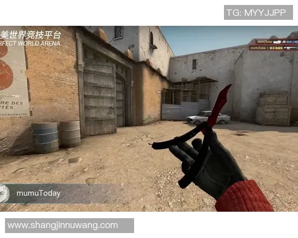 深入分析TES战队在CSGO中的运营策略与战术布局