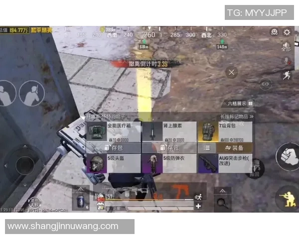 和平精英焦点BLG的战术速度分析与未来发展趋势探讨