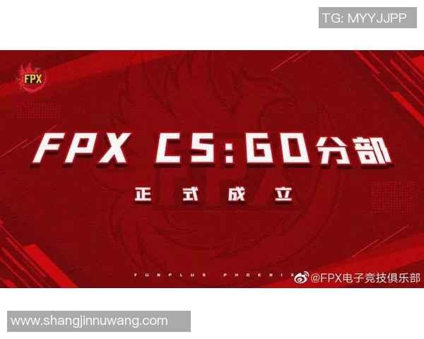 FPX战队在CSGO赛事中的崛起与实力分析探讨