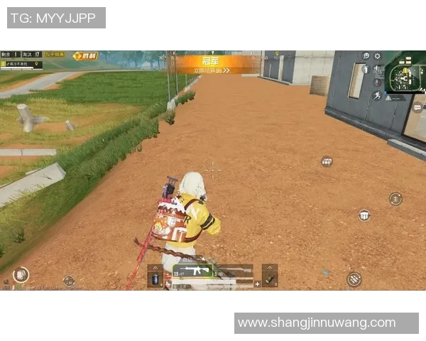 和平精英TES在S15电竞总决赛中的耐力表现引发热议与关注