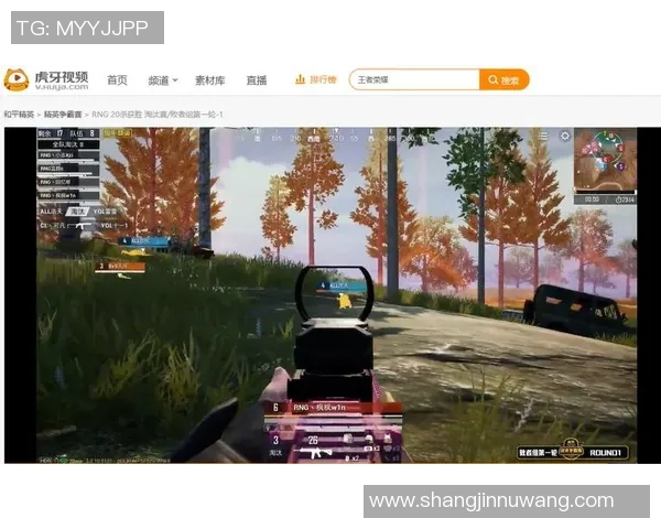 RNG在S15LOL赛事中的表现与和平精英热点运营分析