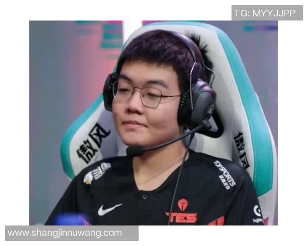 英雄联盟赛场上的蜕变与重生TES战队的转型之路全景纪实