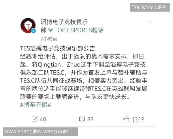 2026电竞新闻深入分析TES战队的盯防策略与战术执行细节 2026电竞新闻深入分析TES战队的盯防策略与战术执行细节